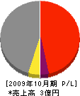 志田建設 損益計算書 2009年10月期