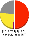 手塚工業 損益計算書 2012年7月期