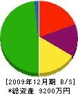 平尾建築 貸借対照表 2009年12月期