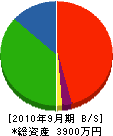 大松建設 貸借対照表 2010年9月期