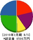 塚本建設 貸借対照表 2010年3月期