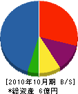 桐山組 貸借対照表 2010年10月期