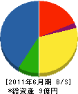 磯村 貸借対照表 2011年6月期
