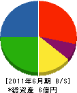 江口屋 貸借対照表 2011年6月期