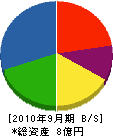 八嶋建設 貸借対照表 2010年9月期