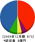レイホク 貸借対照表 2009年12月期