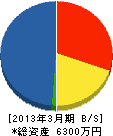 浜松造園事業（同） 貸借対照表 2013年3月期