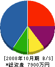 大栄電気工事 貸借対照表 2008年10月期