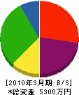 桜井工業 貸借対照表 2010年3月期