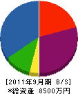 木藤建設 貸借対照表 2011年9月期