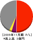 中島建設 損益計算書 2009年11月期