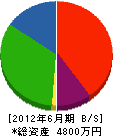萩原電設 貸借対照表 2012年6月期