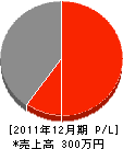 佐々木電機工業所 損益計算書 2011年12月期