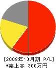フジオコーポレーション 損益計算書 2008年10月期