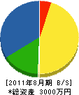中村塗装工業 貸借対照表 2011年8月期