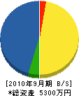 稲垣興業 貸借対照表 2010年9月期