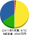 山陽工務店 貸借対照表 2011年5月期