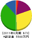 昭和塗装 貸借対照表 2011年6月期