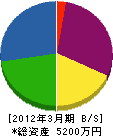 田川緑地建設 貸借対照表 2012年3月期