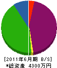 尾村美建 貸借対照表 2011年6月期