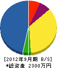 宮本ポンプ店 貸借対照表 2012年9月期