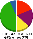 小野電気商会 貸借対照表 2012年10月期