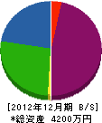 武田建設 貸借対照表 2012年12月期