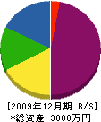 谷口クリーンサービス 貸借対照表 2009年12月期