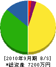 松光園 貸借対照表 2010年9月期