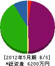 斉藤電気 貸借対照表 2012年5月期
