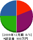 初田塗装工業 貸借対照表 2009年12月期