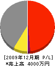 佐藤重機土木 損益計算書 2009年12月期