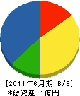 田中運建設 貸借対照表 2011年6月期