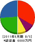 坂本土木 貸借対照表 2011年6月期