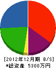 佐野林業 貸借対照表 2012年12月期