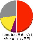 田中電機商会 損益計算書 2009年12月期