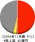 篠崎建設 損益計算書 2009年11月期