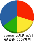 小沢工務店 貸借対照表 2009年12月期