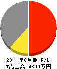 藤澤建設 損益計算書 2011年6月期
