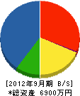 田部井設備工業所 貸借対照表 2012年9月期