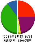 日田文化シャッター 貸借対照表 2011年6月期