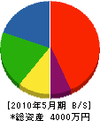 川西電機 貸借対照表 2010年5月期