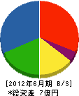 角田建設工業 貸借対照表 2012年6月期