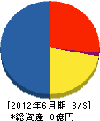 九州化工建設 貸借対照表 2012年6月期