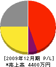 中井電機 損益計算書 2009年12月期