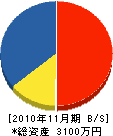 小山総合設備 貸借対照表 2010年11月期