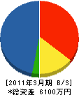 嶋村商店 貸借対照表 2011年3月期