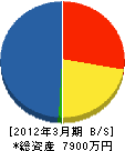 豊橋住建 貸借対照表 2012年3月期