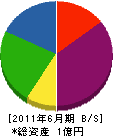 和田工務店 貸借対照表 2011年6月期