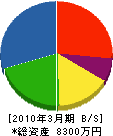 細田工務店 貸借対照表 2010年3月期